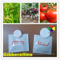 Gibberellic Acid Gibberellin GA3 Tablet